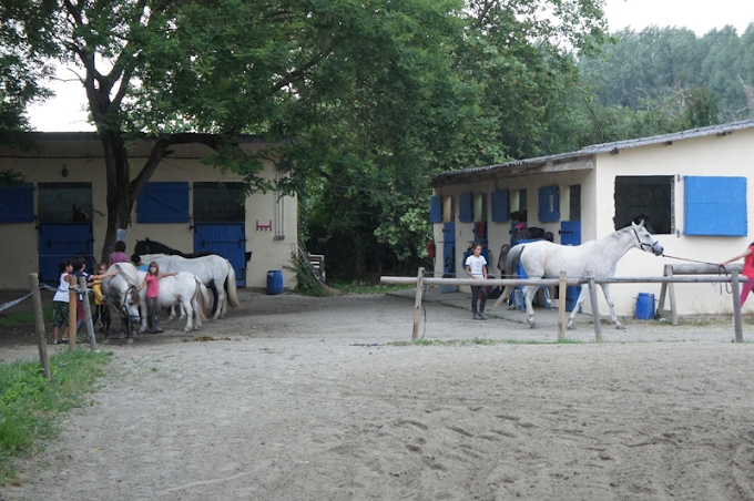 Renaudine Équitation